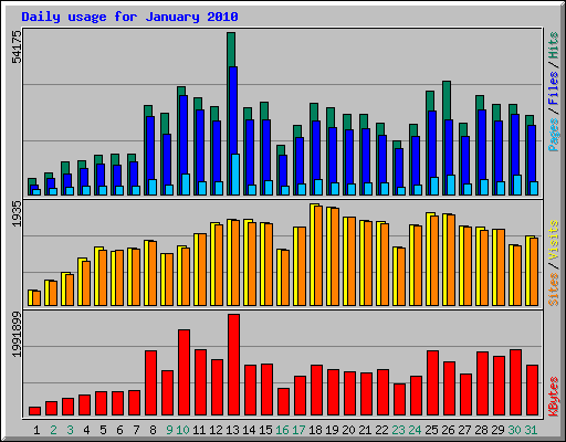 Daily usage for January 2010