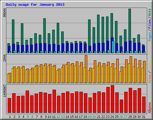 Daily usage for January 2013