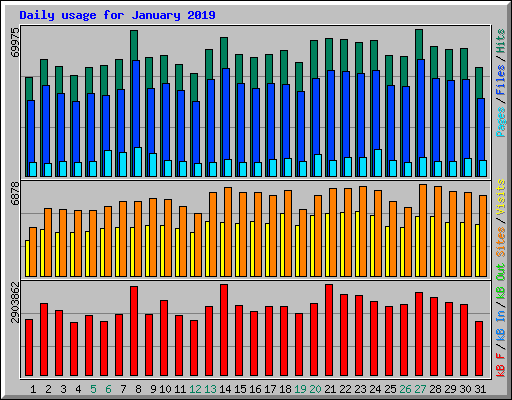 Daily usage for January 2019