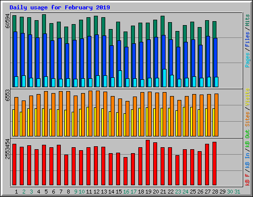 Daily usage for February 2019