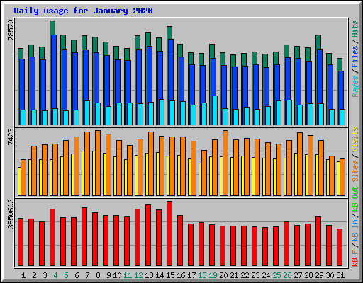 Daily usage for January 2020