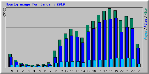 Hourly usage for January 2010