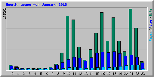 Hourly usage for January 2013