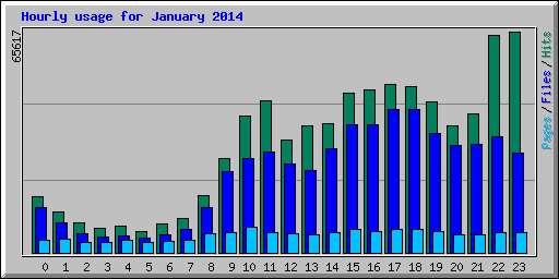 Hourly usage for January 2014