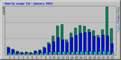 Hourly usage for January 2016