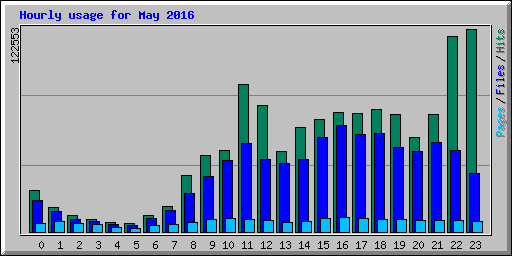 Hourly usage for May 2016