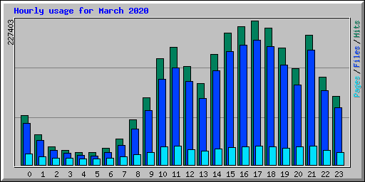 Hourly usage for March 2020