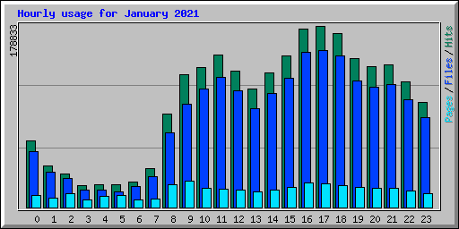 Hourly usage for January 2021