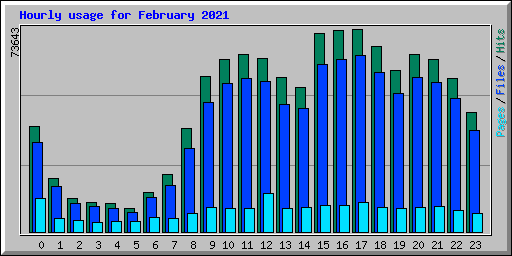 Hourly usage for February 2021
